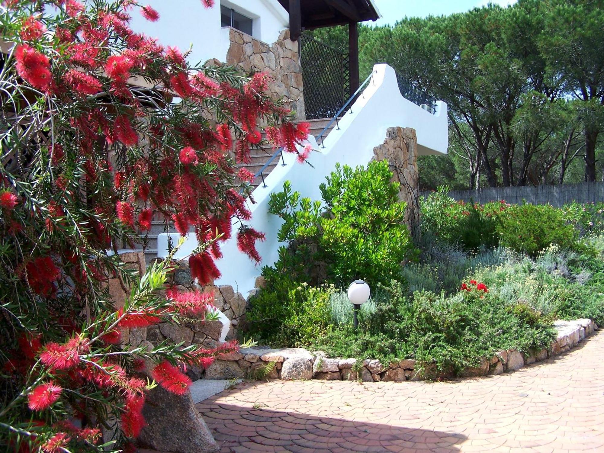 Hotel Club Ragno D'Oro Olbia Tempio Bagian luar foto