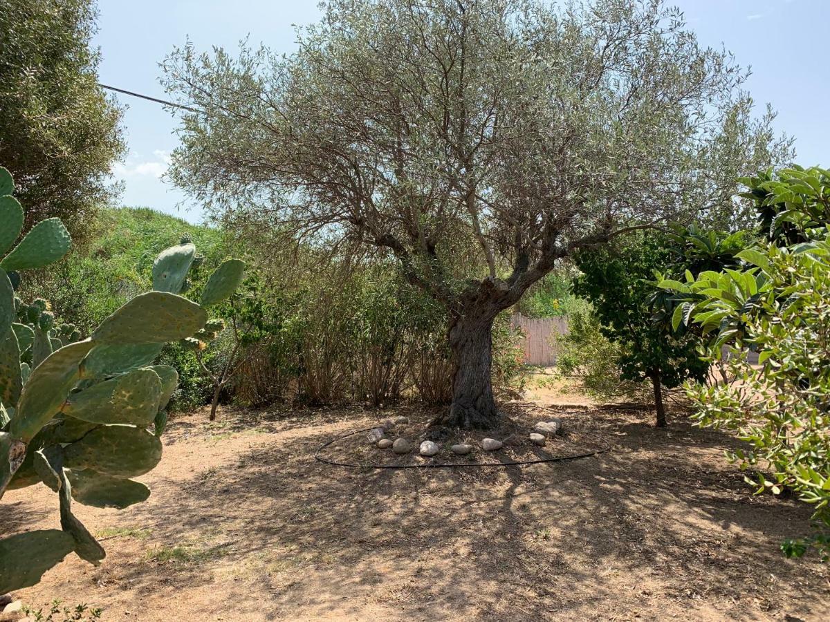 Hotel Club Ragno D'Oro Olbia Tempio Bagian luar foto